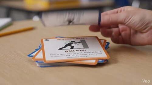 Autism ADHD Visual Transition Task Cards Self Regulation Executive ...