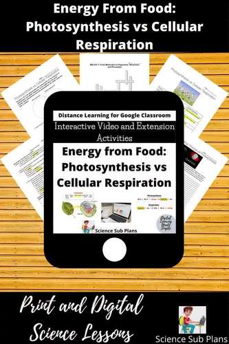 Energy from Food: Photosynthesis vs Cellular Respiration - Video and ...