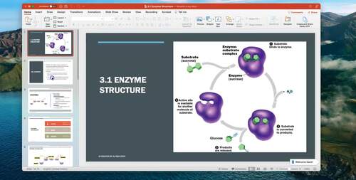 AP Biology Unit 3 Cellular Energetics - Editable Powerpoints | TPT