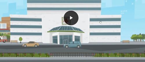 Biology DNA Replication Online Interactive Learning Module- HTML