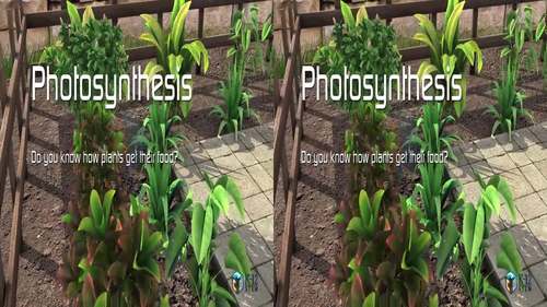Preview of Photosynthesis in and as 3D stereoscopic video