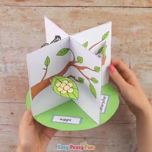 Butterfly Life Cycle Craft | 3D Diorama Craft Activity by Easy Peasy ...