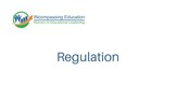 SEL Competencies: Regulation