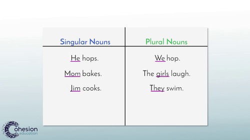 Preview of Singular & Plural Nouns