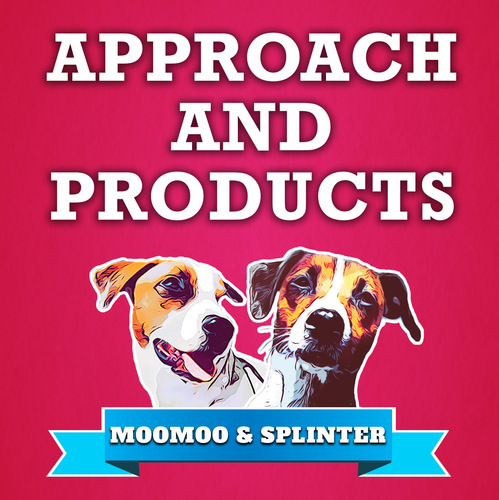 Preview of Approach and Products