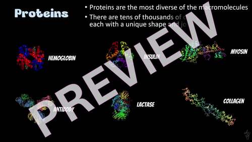 Protein Synthesis PowerPoint Slideshow + Guided Notes + Review Study Guide