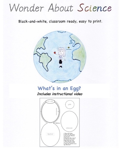 Preview of What is an Egg? Video and worksheet