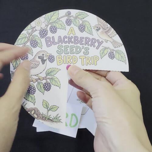 Seed Dispersal by Animals & Birds Activity | Science Wheel Craft Grades 1-3