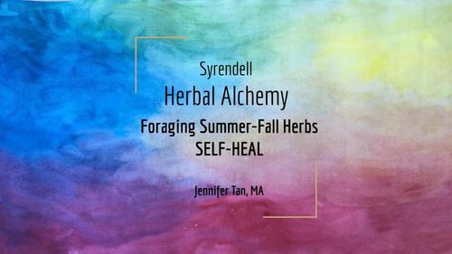 Preview of Foraging Summer/Fall Herbs Self-Heal Waldorf Video | Lesson 3 of 5 Jennifer Tan