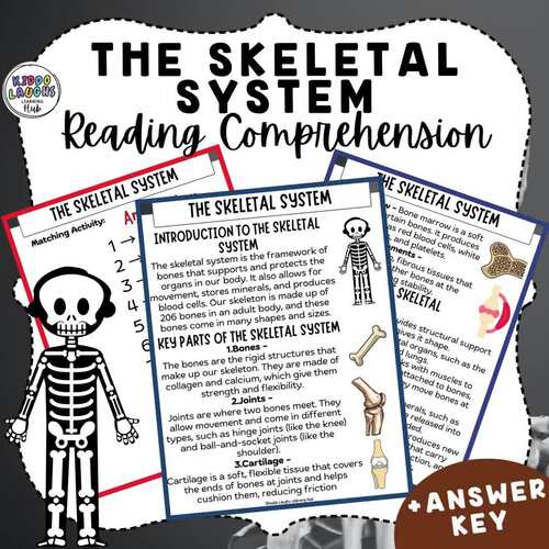The Skeletal System Reading Comprehension Worksheet | Body Systems Activity