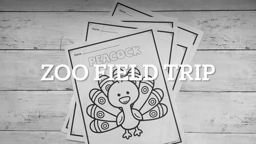 Zoo Worksheets 1st Grade Field Trip | Math ELA Activities No Prep Pack