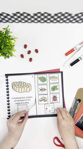The Life Cycle of a Ladybug Adapted Book for Special Education Science