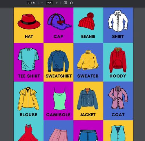 Clothing, Furniture, Hobbies Vocabulary Cards Starter Pack 96 ...