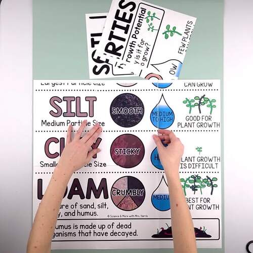 Types of Precipitation Anchor Chart Poster, Collage, Mini 2nd 3rd