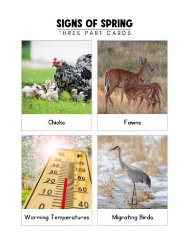 Spring Nomenclature Cards, Three Part Cards, Flash Cards, Spring Activities
