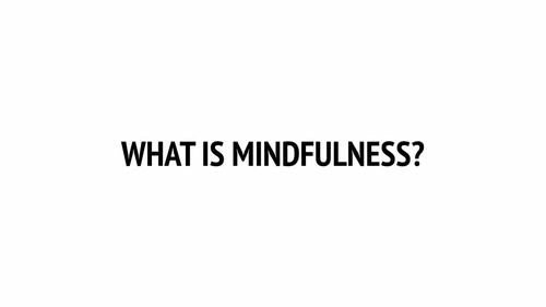 Preview of What is Mindfulness? MP4 movie
