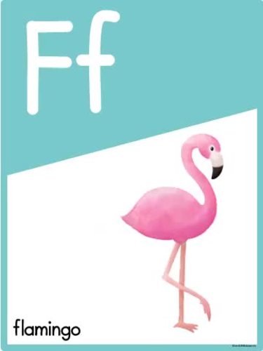Watercolor Animal Alphabet Posters | Classroom Display Preschool ...