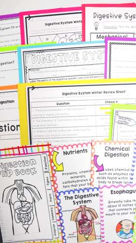 Digestive System Unit Reading Worksheets Lesson Plans for Grades 4–7 ...