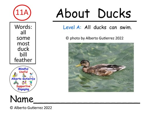 Preview of Read Aloud Video: About Ducks #11A
