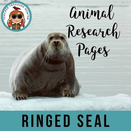 Ringed Seal Animal Research Page Arctic Animal Reports 1st 2nd 3rd