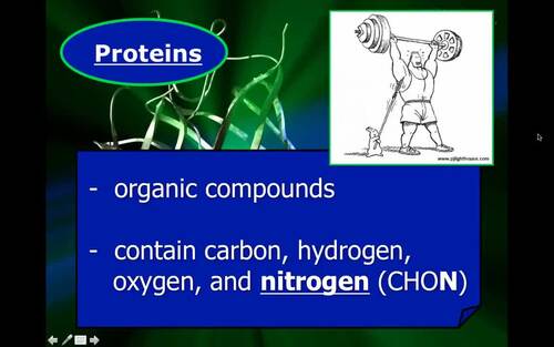 Preview of Biology Lecture Video/Proteins /Flipped Classroom/Edpuzzle Ready