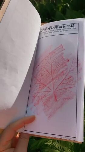 Nature Collection Journal