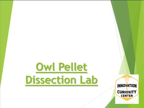Preview of Owl Pellet Dissection Lab - Middel/High School