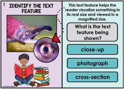 BOOM CARDS Nonfiction Text Features Identification Reading Task Cards