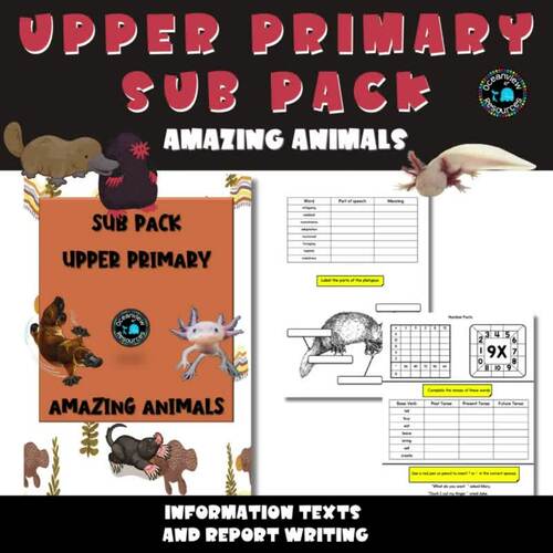 SUB PACK/PLANS NO PREP -Upper Primary AMAZING ANIMALS by Oceanview ...