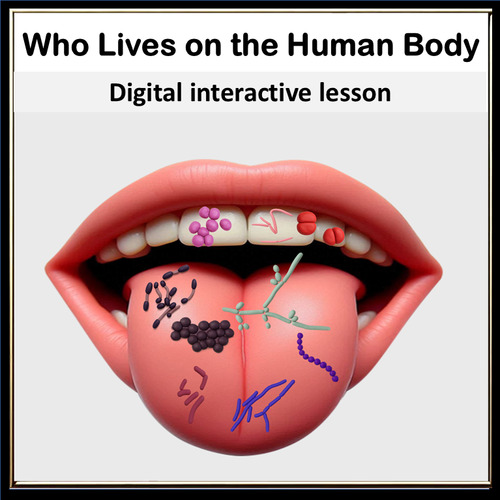 Preview of Human Body Microflora – Skin, Mouth, and Intestine Interactive Biology Lesson
