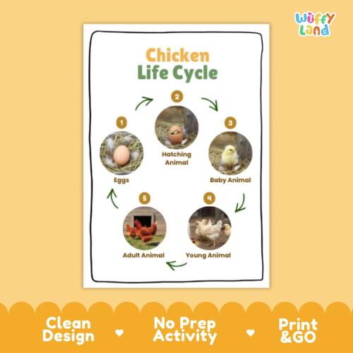 Chicken Life Cycle Activity | Farm Animal Science Cut and Paste Worksheet
