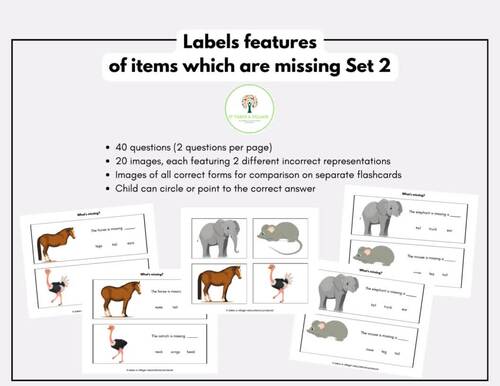 What is missing? Identify missing features Multiple Choice  Set 2(ABLLS-R  G28)