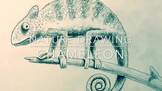 Pencil Drawing of Chameleon Video | Art Lesson 5 of 5 | Ri