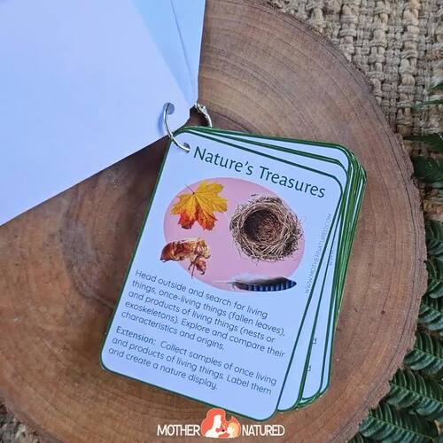 Outdoor Science Activities | Nature Science | Montessori Science | EYFS ...