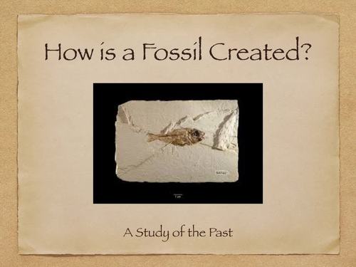 Preview of How Fossils are Created Movie (m4v) Distance Learning