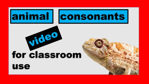 Preview of Animal Consonants Video