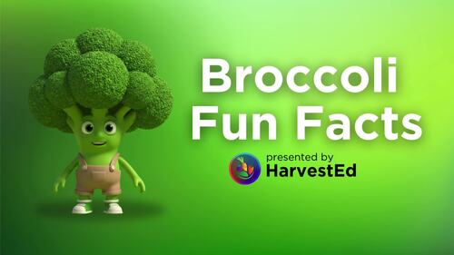 Preview of Broccoli Fun Facts Video Lesson - Nutrition & Healthy Eating for Kids