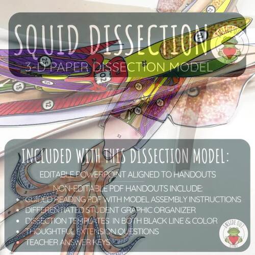 Squid Dissection Zoology | Biology 3-D Anatomy Paper Dissection Model ...