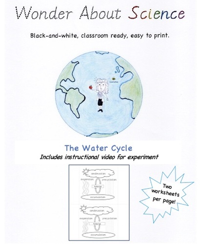 Preview of The Water Cycle in a Bag Video and Worksheet