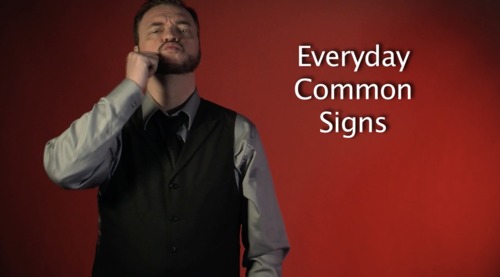 Preview of E20: ASL Vocabulary, Phrases and Common Signs - Sign With Robert