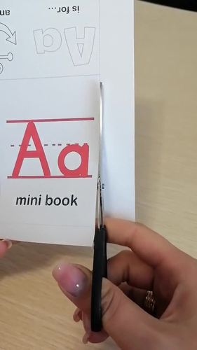 Alphabet mini books by Iryna Kashuk | TPT