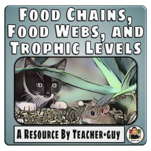 Preview of Food Chains, Food Webs, and Trophic Levels