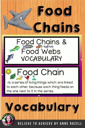 Food Chain Word Wall Vocabulary- with definitions | TpT