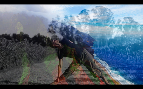 Preview of Yoga Break Online or Download: 5-Minute Yoga Video FREE  (Hawaiian Theme)
