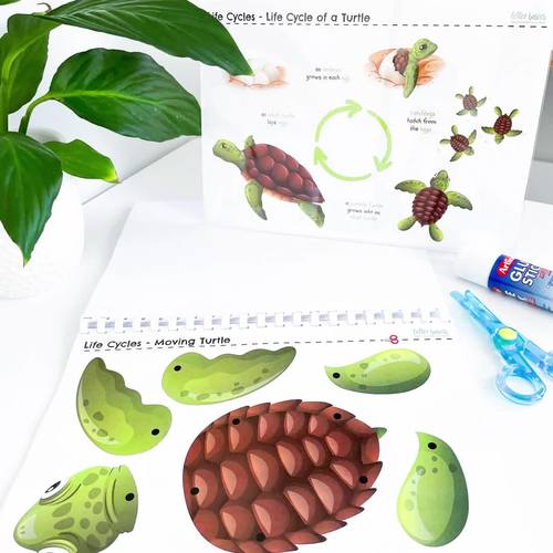 Life Cycle Activity Book for 3yo+ by Little Wooden Toybox | TPT