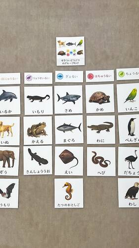 Let’s Sort Vertebrates into 5 Groups!｜Classification Activity Cards ...