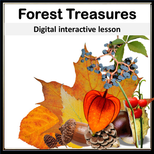 Preview of Discover Forest Treasures: Leaves, Berries, Birds & Seasonal Changes