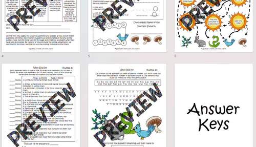 Interdependence Mystery Science Activity Packet Review (Print & Digital ...