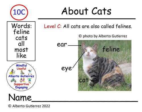Preview of Video Read Aloud About Cats #10C