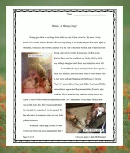 5th Grade Reading Comprehension Passage with Questions Dog Story ELA Worksheets